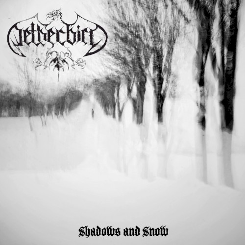 Shadows and Snow