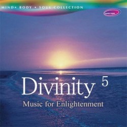Divinity 5
