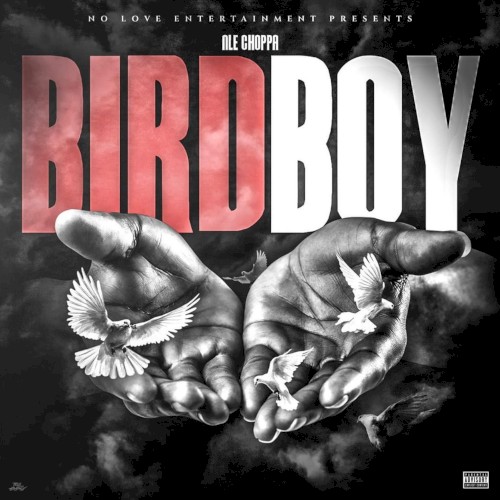 BIRDBOY