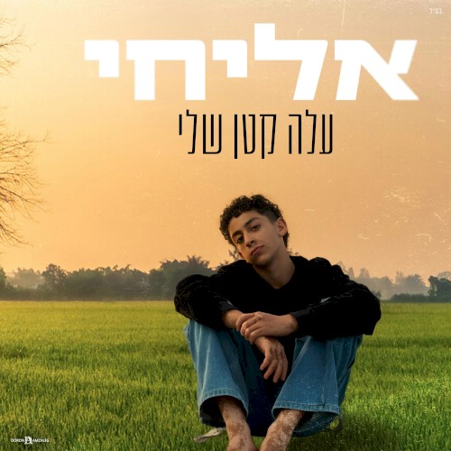 עלה קטן שלי