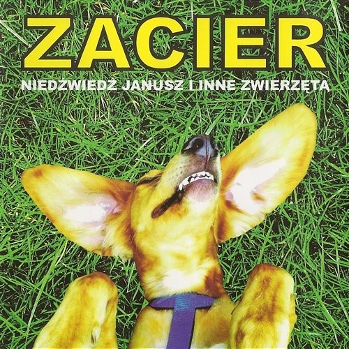 Niedźwiedź Janusz i inne zwierzęta