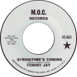 Springtime's Coming / I Don't Care Anyway