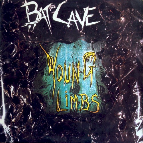 Batcave: Young Limbs and Numb Hymns