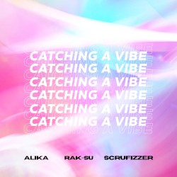 Catching a Vibe