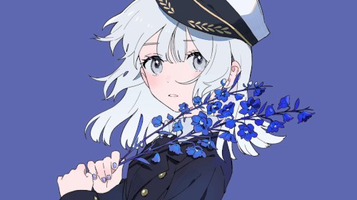デルフィニウム (delphinium)