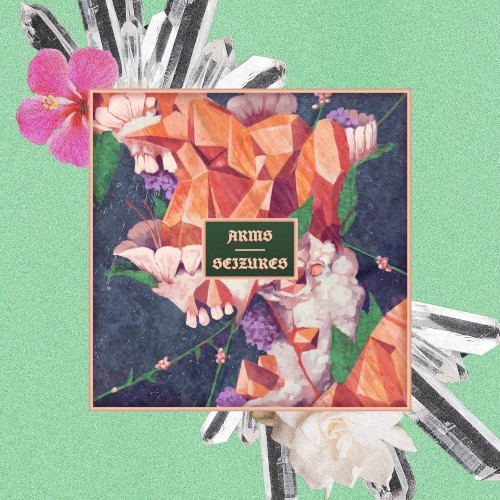 Arms / Seizures