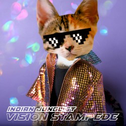 Vision Stampede