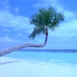 Ｔｈｅ Ｂｅａｃｈ
