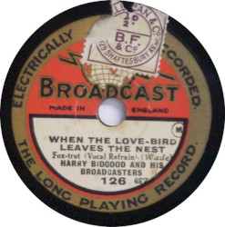 When the Love-Bird Leaves the Nest / Blue Skies