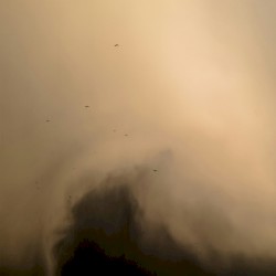 As the Dust Settles