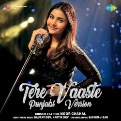 Tere Vaaste (Punjabi Version)