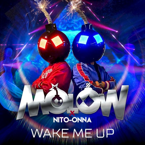 Wake Me Up (radio edit)