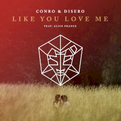 Like You Love Me