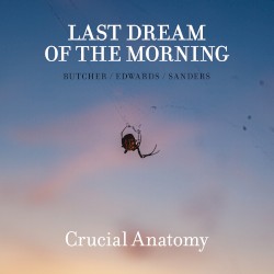 Crucial Anatomy