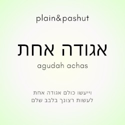 אגודה אחת