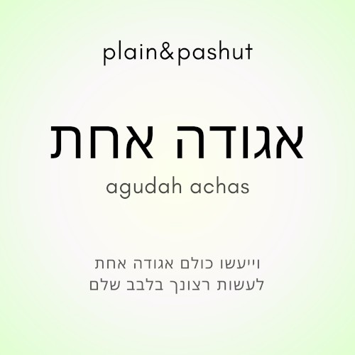 אגודה אחת