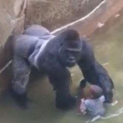 THAT WASNT PROTECTING THE CHILD