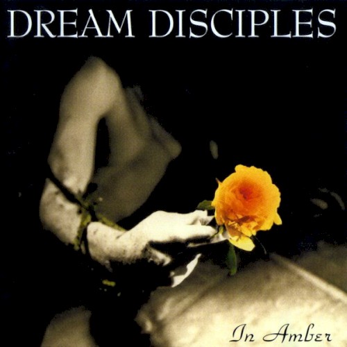 In Amber
