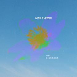 Wind Flower