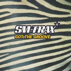 Got the Groove