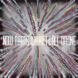 Now That's What I Call Drone: Vol. 1