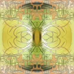 Interconnections