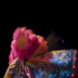 Confetti in the Sky Like Fireworks (This Is Bate Bola OST)