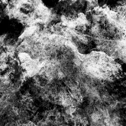 Static Burn