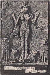 Awakening of the Dead