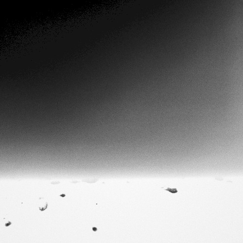 Vertical Horizontal