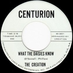 What The Daisies Know / Sun And Stars (I Miss Her So)