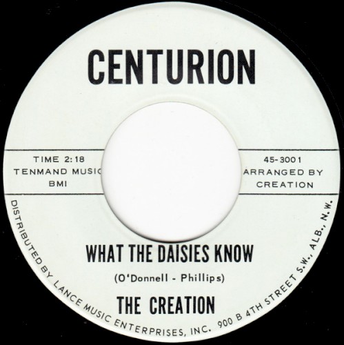 What The Daisies Know / Sun And Stars (I Miss Her So)