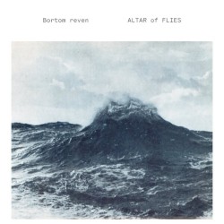 Bortom Reven