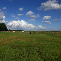 The Hilvarenbeek Recordings