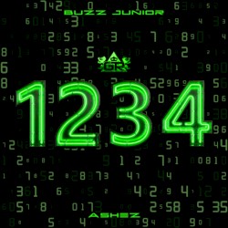 1234