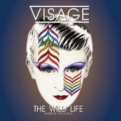 The Wild Life: The Best Of, 1978 to 2015
