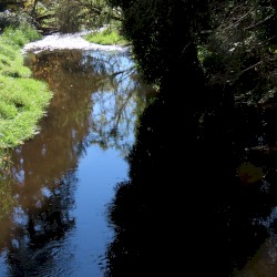 North Creek Trail (10-07-2024)