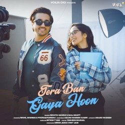 Tera Ban Gaya Hoon