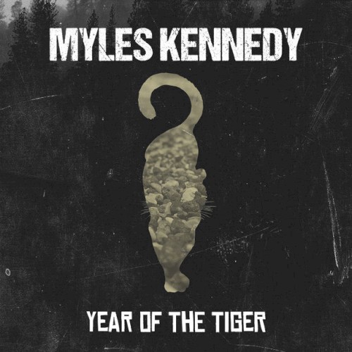 Year of the Tiger