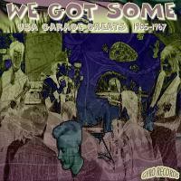 USA Garage Greats 1965–1967: Vol. 146: We Got Some