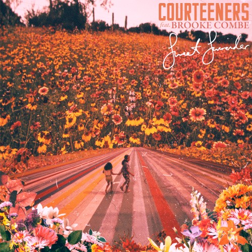 Sweet Surrender