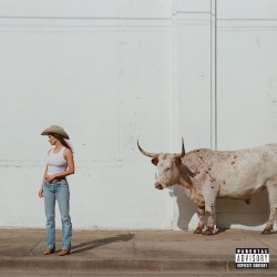 Horses and Divorces