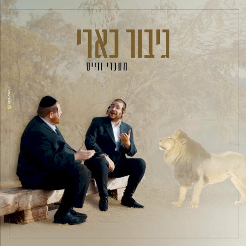גיבור כארי