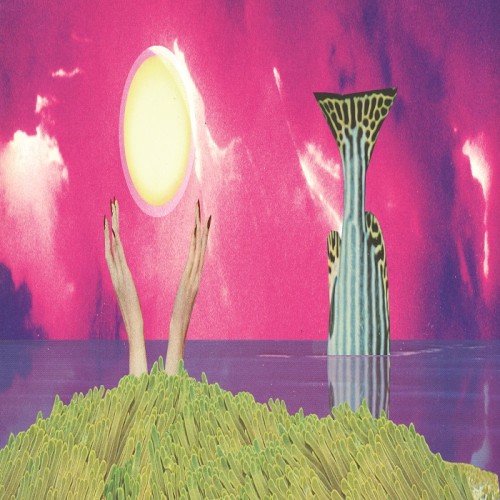 Vast Universe