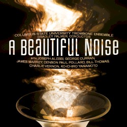 A Beautiful Noise