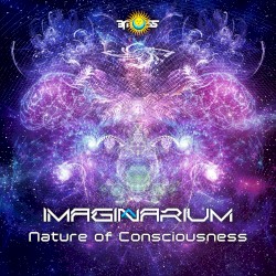 Nature of Consciousness