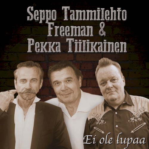 Ei ole lupaa