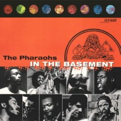 In the Basement