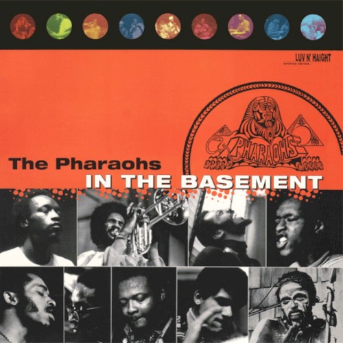 In the Basement