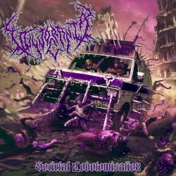 Vulvocrania: Societal Lobotomisation